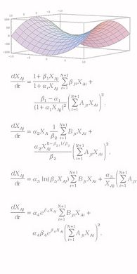 programación & matemática